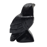 Small Black Onyx Raven