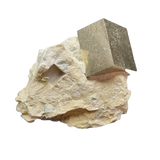 Small Cubic Pyrite Specimen